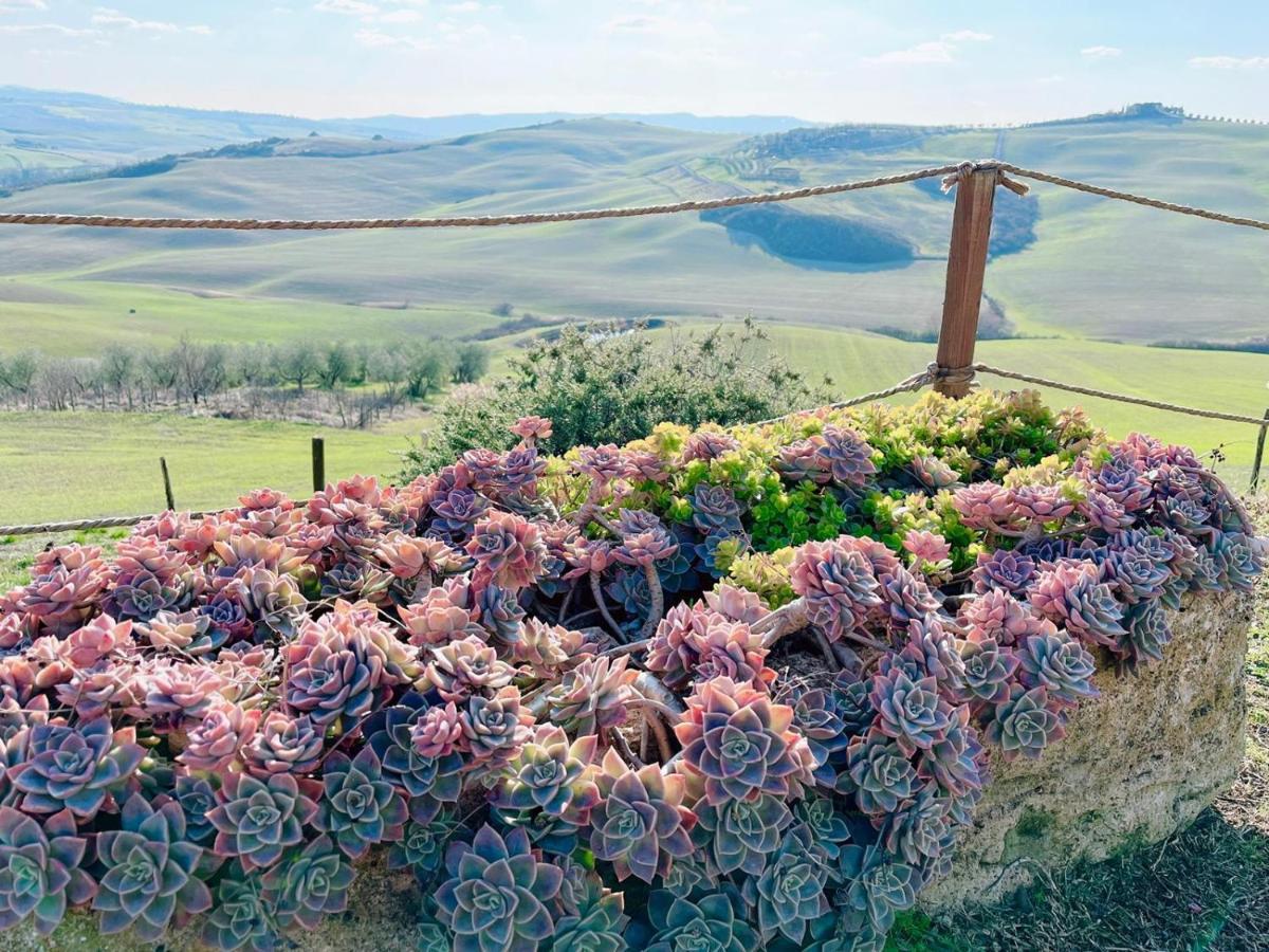 Poggiosalto In Toscana Pienza Exteriör bild