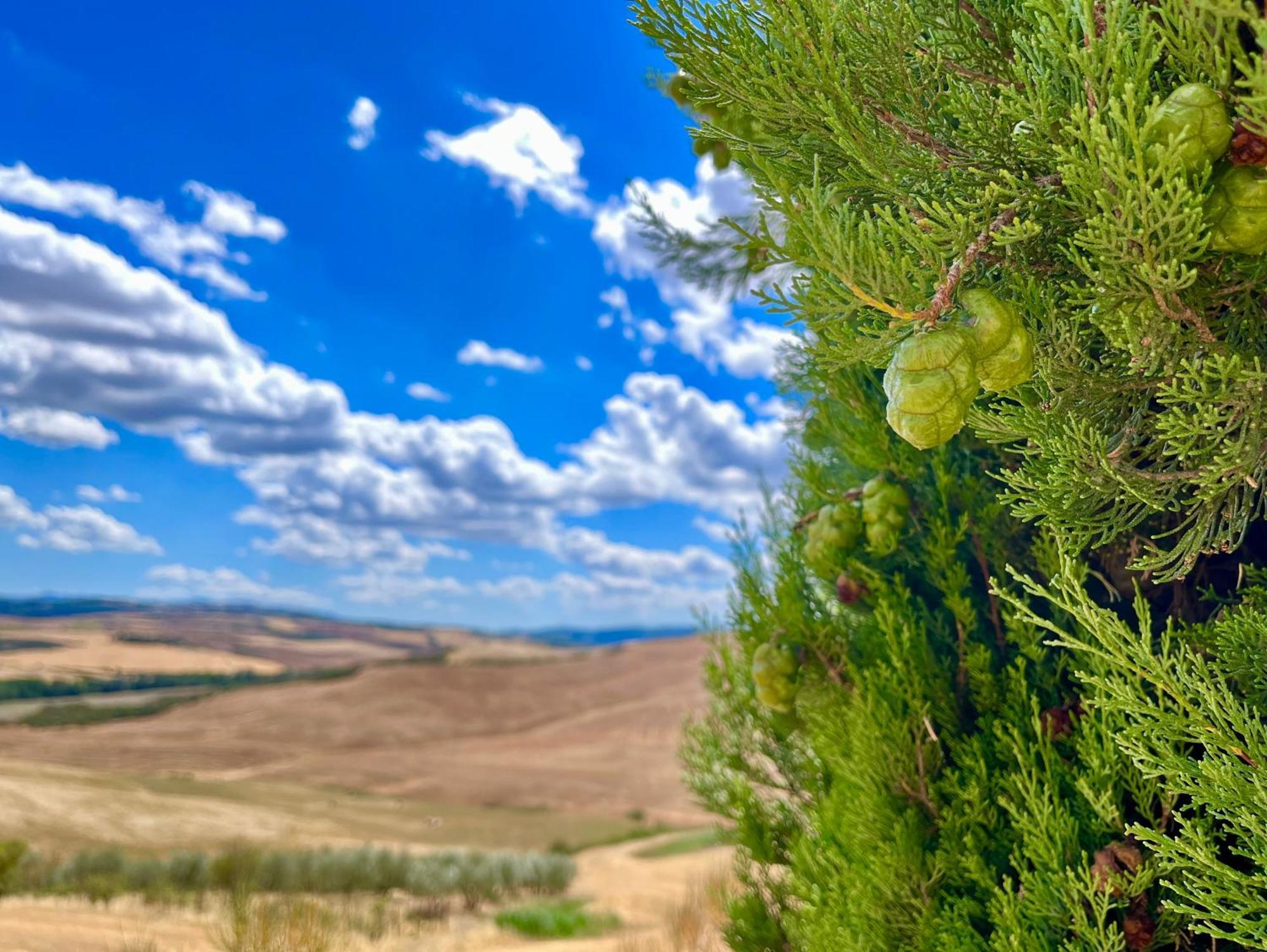 Poggiosalto In Toscana Pienza Exteriör bild